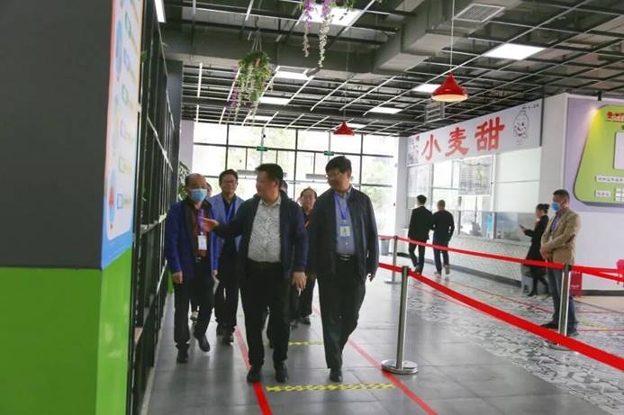 QQ图片5