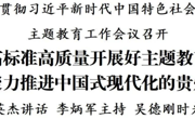 全省学习贯彻习近平新时代中国特色社会主义思想主题教育工作会议召开