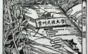 把民大刻进版画里，让热爱落“印”成章🤩🤩
